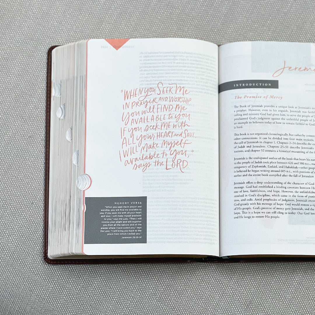 Brown Leathersoft Bible - Thumb Indexed