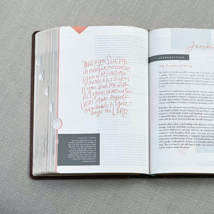 Brown Leathersoft Bible - Thumb Indexed