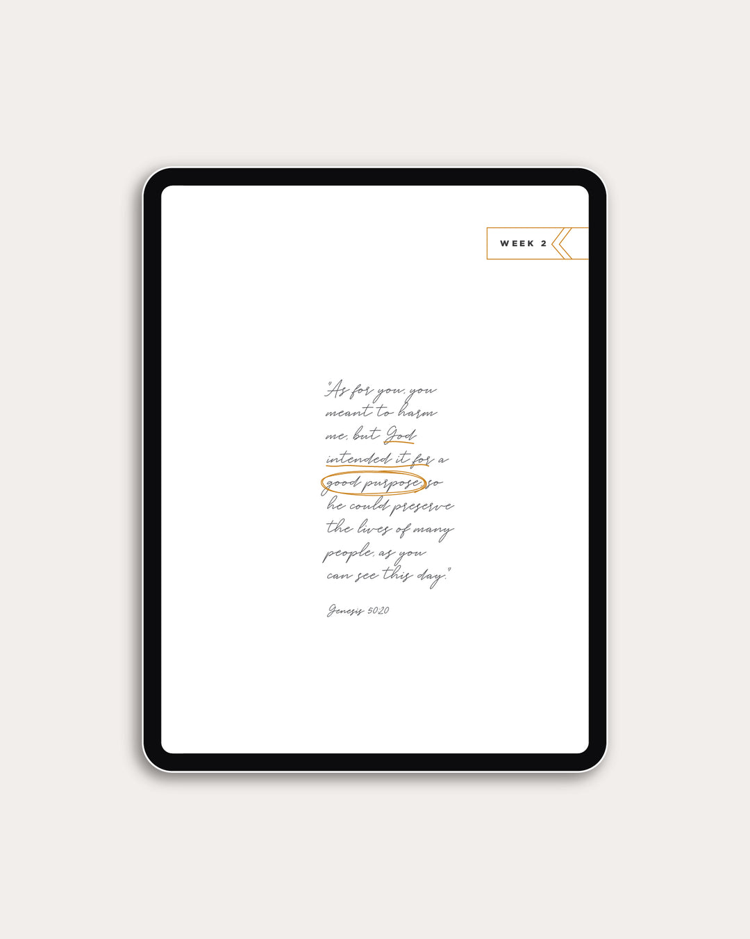 From Beginning to Forever Digital Resource Bundle