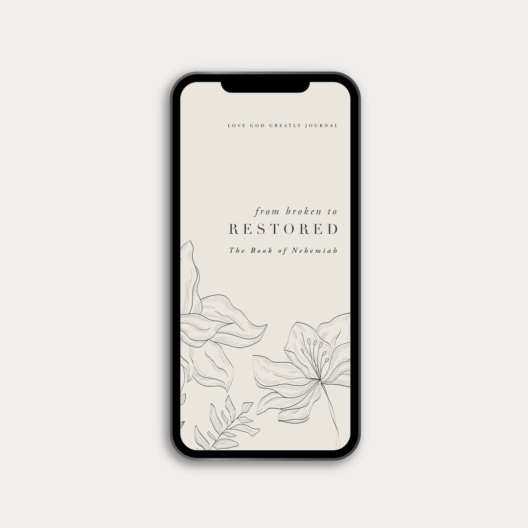 From Broken to Restored Digital Resource Bundle