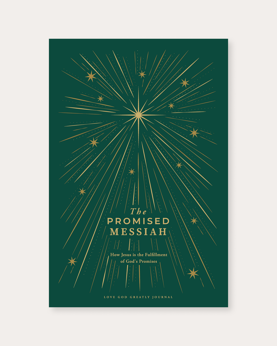 The Promised Messiah