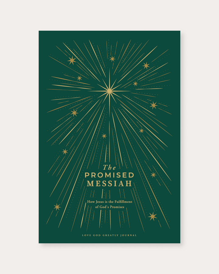 The Promised Messiah