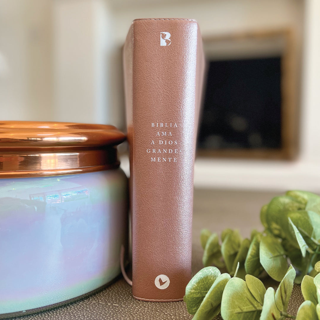 Spanish Love God Greatly Bible (Pink Gold Leathersoft)