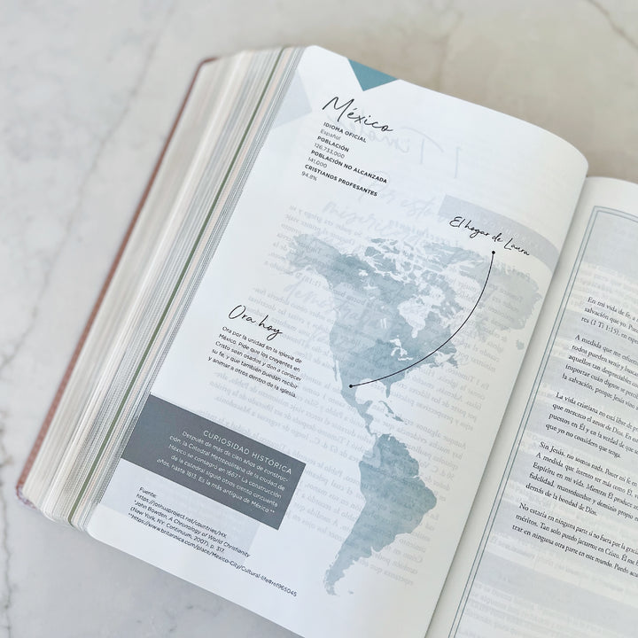 Spanish Love God Greatly Bible (Pink Gold Leathersoft)