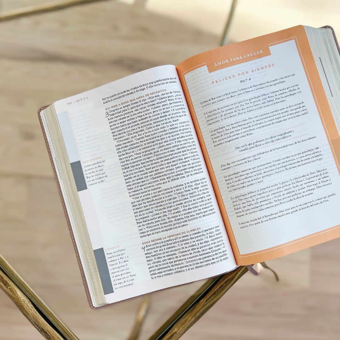 Spanish Love God Greatly Bible (Pink Gold Leathersoft)