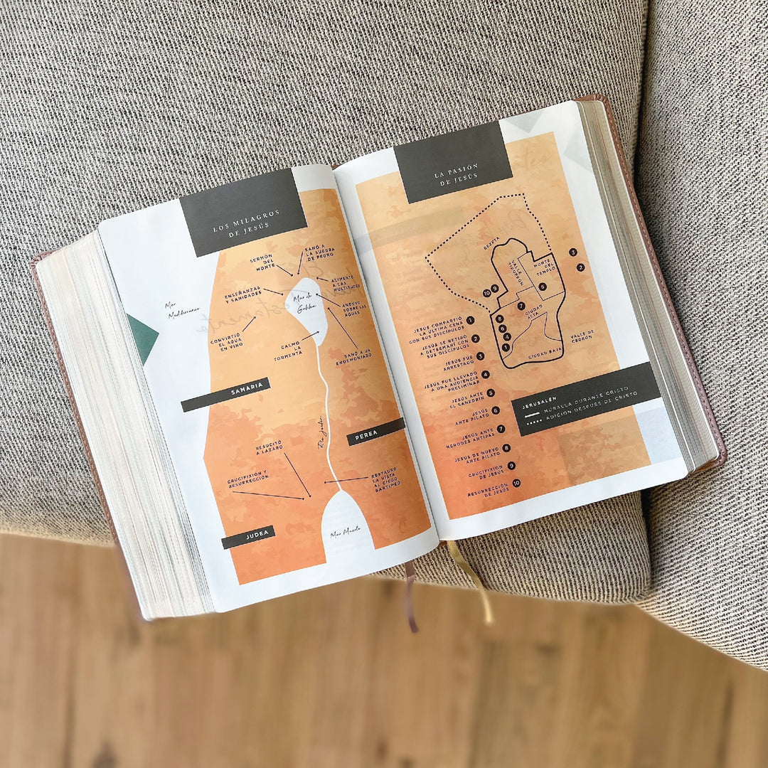 Spanish Love God Greatly Bible (Pink Gold Leathersoft)