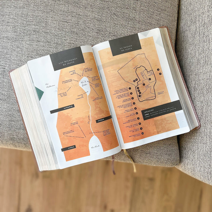 Spanish Love God Greatly Bible (Pink Gold Leathersoft)