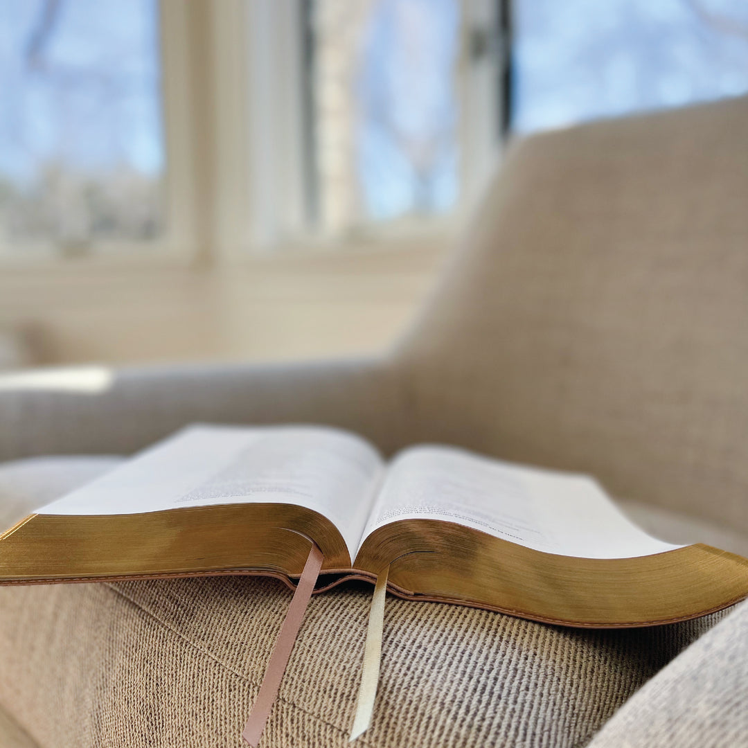 Spanish Love God Greatly Bible (Pink Gold Leathersoft)