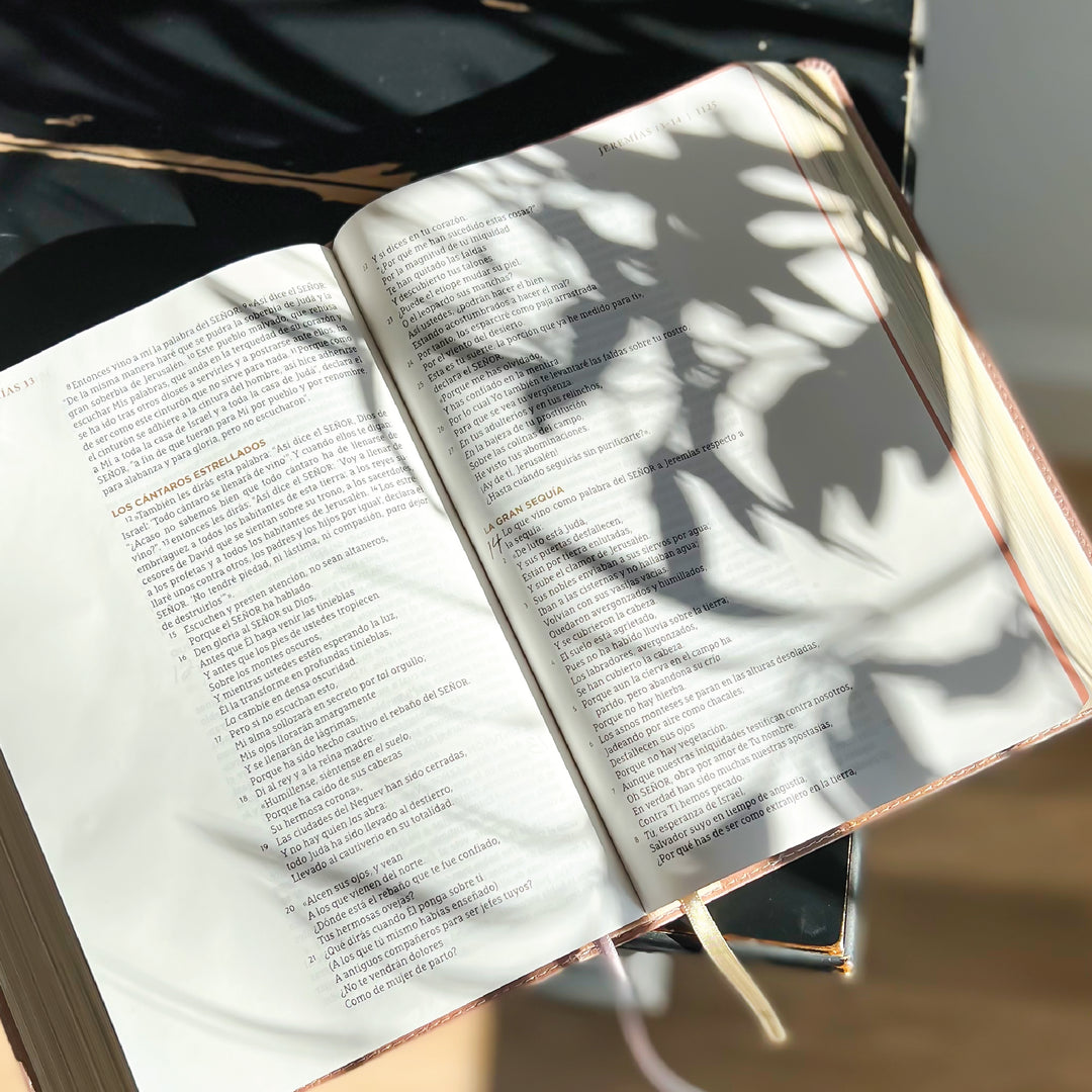 Spanish Love God Greatly Bible (Pink Gold Leathersoft)