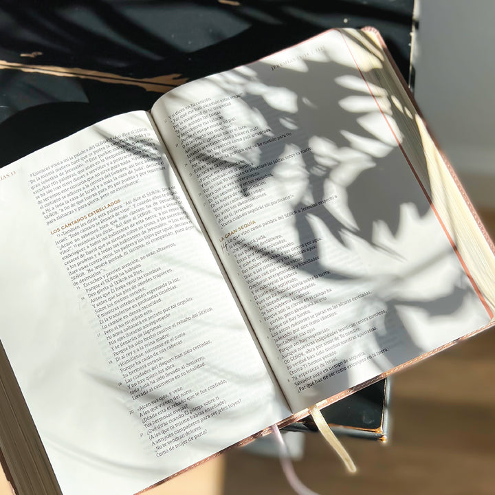 Spanish Love God Greatly Bible (Pink Gold Leathersoft)