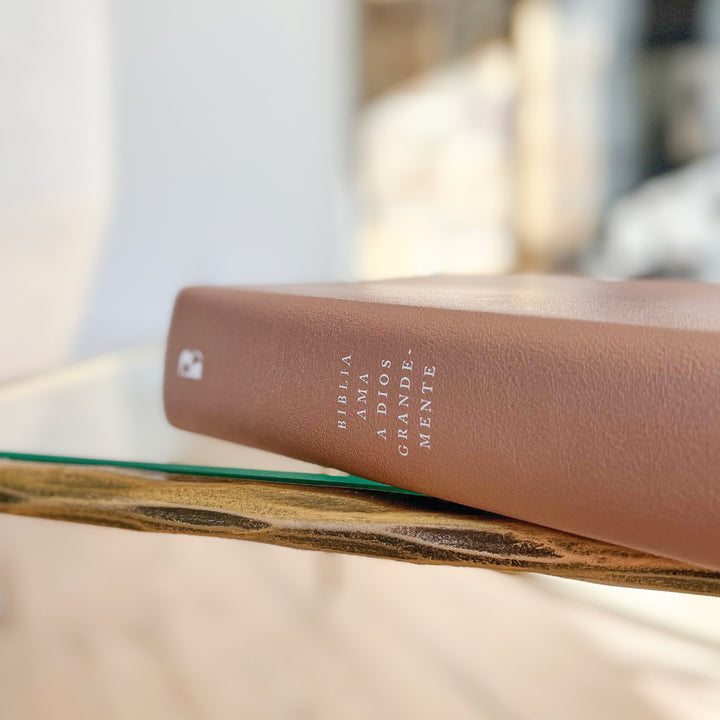 Spanish Love God Greatly Bible (Pink Gold Leathersoft)