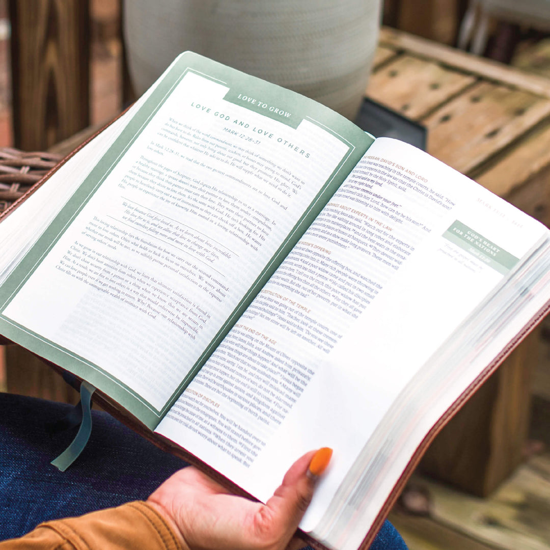 Brown Leathersoft Bible