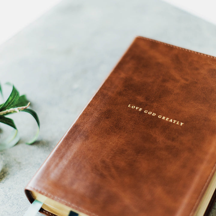 Brown Leathersoft Bible