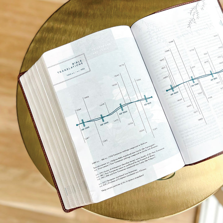 Young Women's Bible: Blue Cloth-bound Hardcover