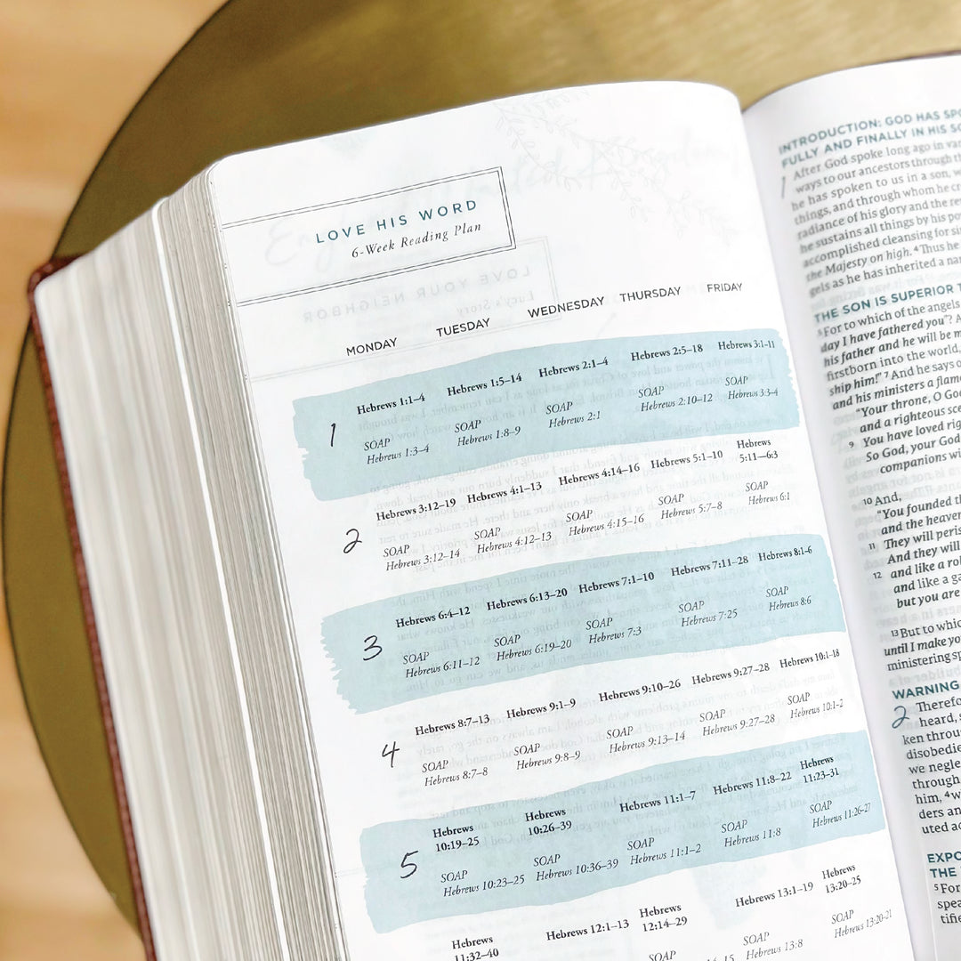 Young Women's Bible: Blue Cloth-bound Hardcover