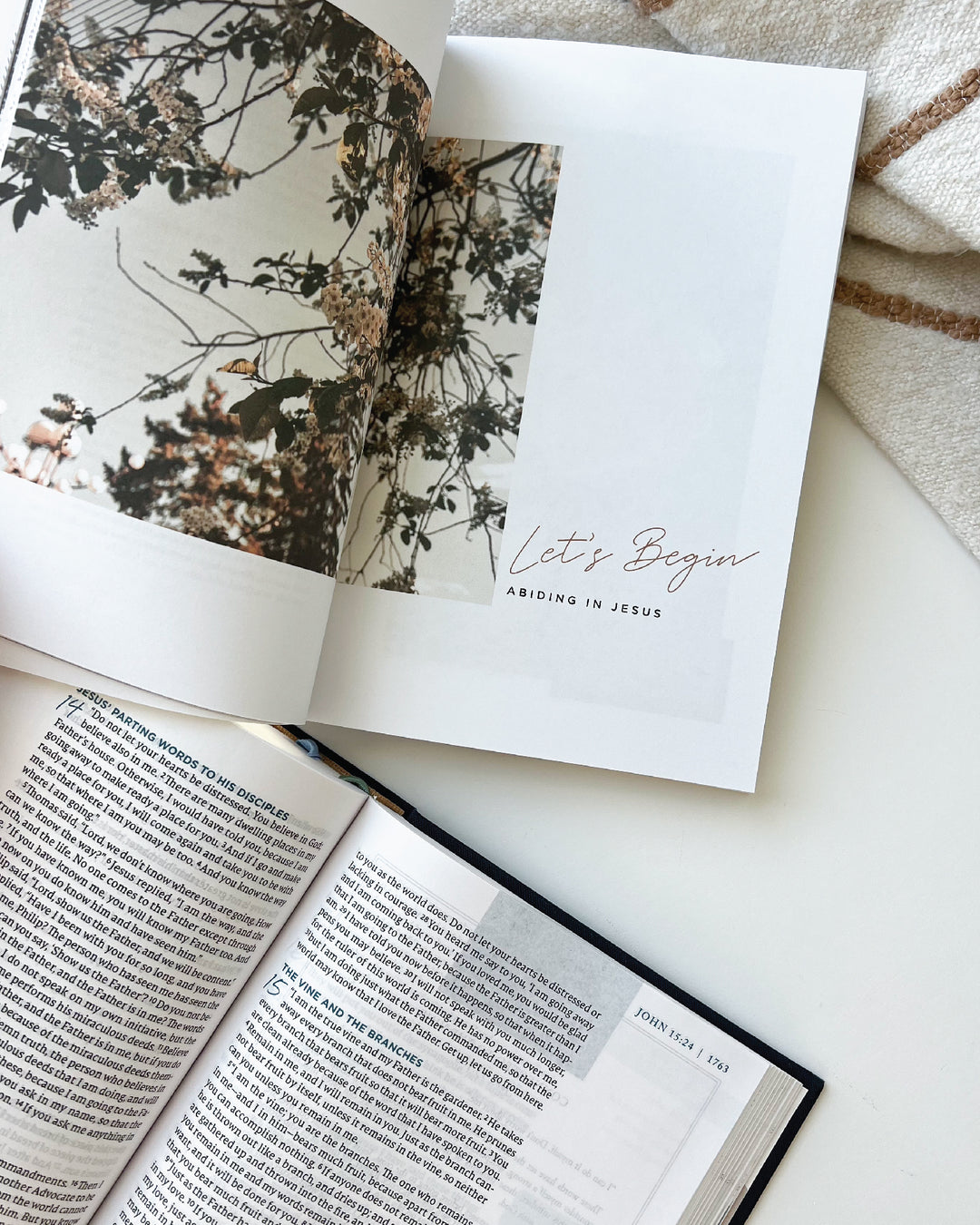 Abiding in Jesus