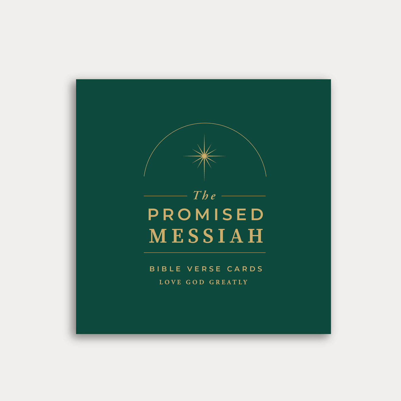 The Promised Messiah Digital Resource Bundle