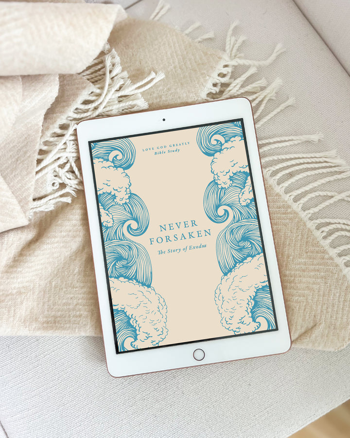 Never Forsaken (DIGITAL)