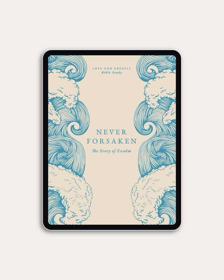 Never Forsaken Digital Resource Bundle
