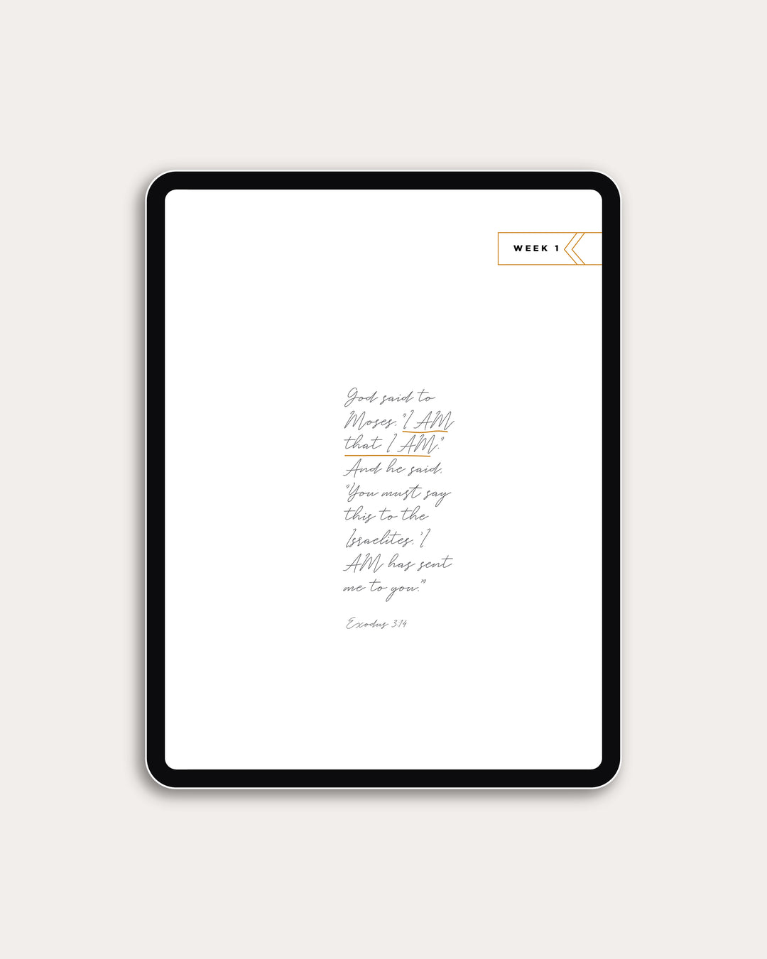 Never Forsaken Digital Resource Bundle