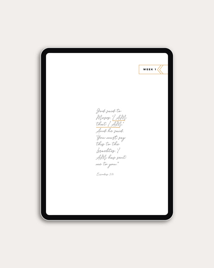 Never Forsaken (DIGITAL)