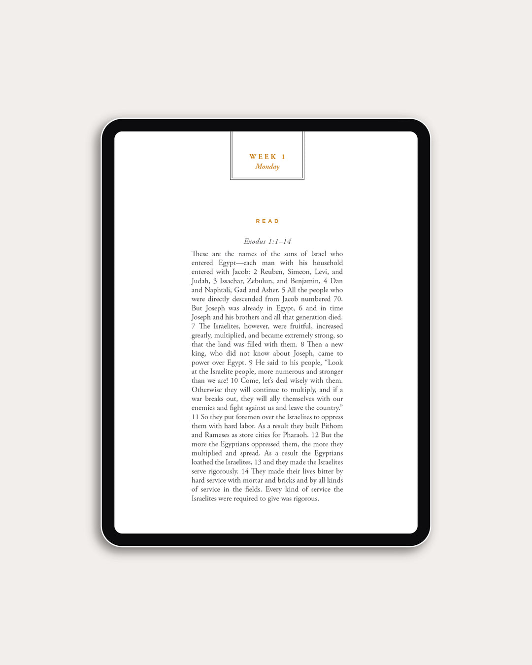 Never Forsaken (DIGITAL)