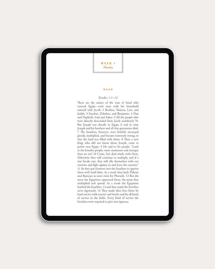 Never Forsaken (DIGITAL)