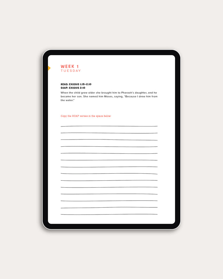 Never Forsaken for Kids (DIGITAL)