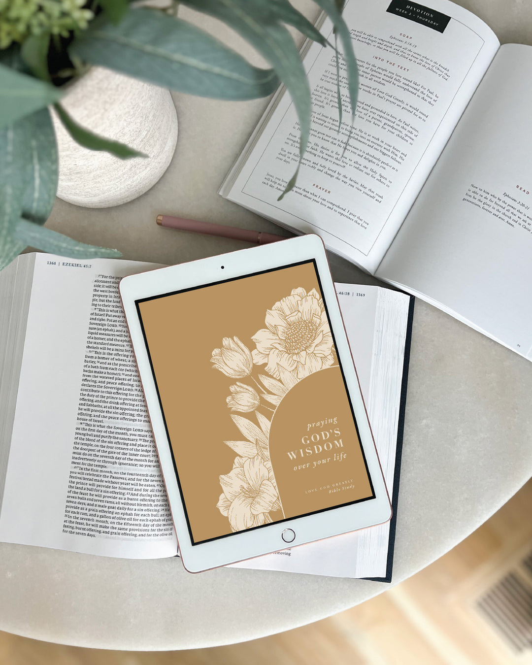 Praying God's Wisdom Over Your Life Digital Resource Bundle