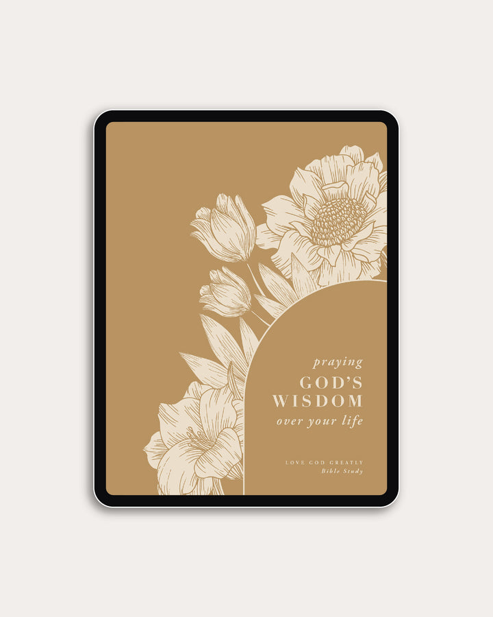 Praying God's Wisdom Over Your Life Digital Resource Bundle