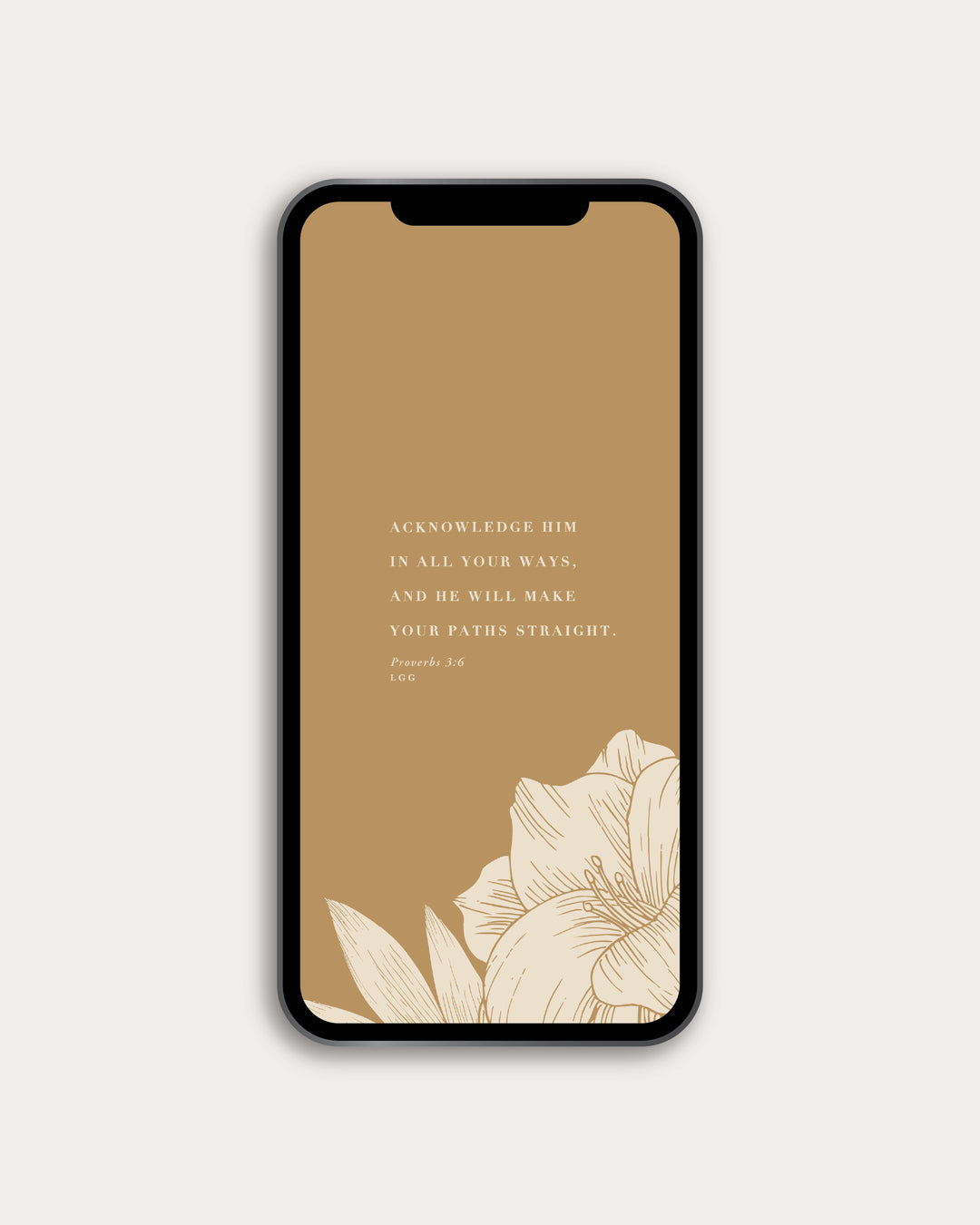 Praying God's Wisdom Over Your Life Digital Resource Bundle