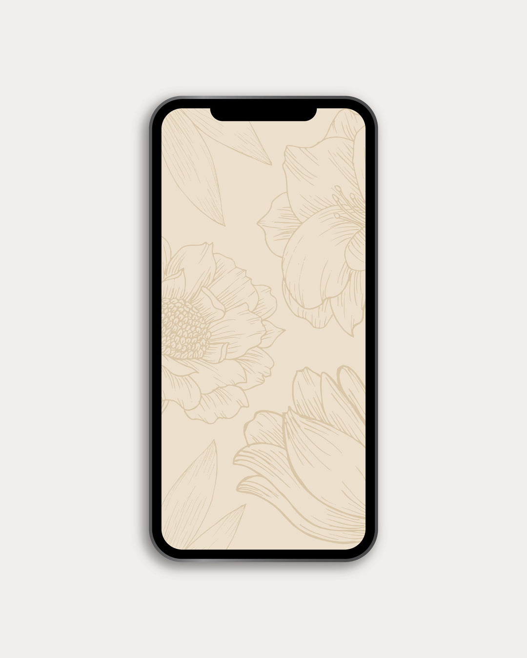 Praying God's Wisdom Over Your Life Digital Resource Bundle