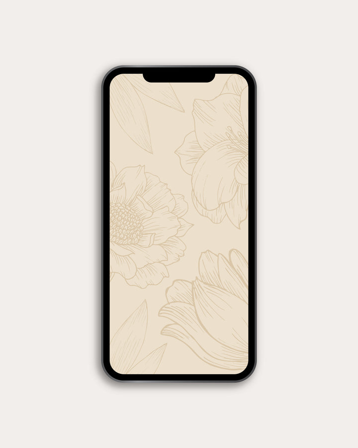 Praying God's Wisdom Over Your Life Digital Resource Bundle