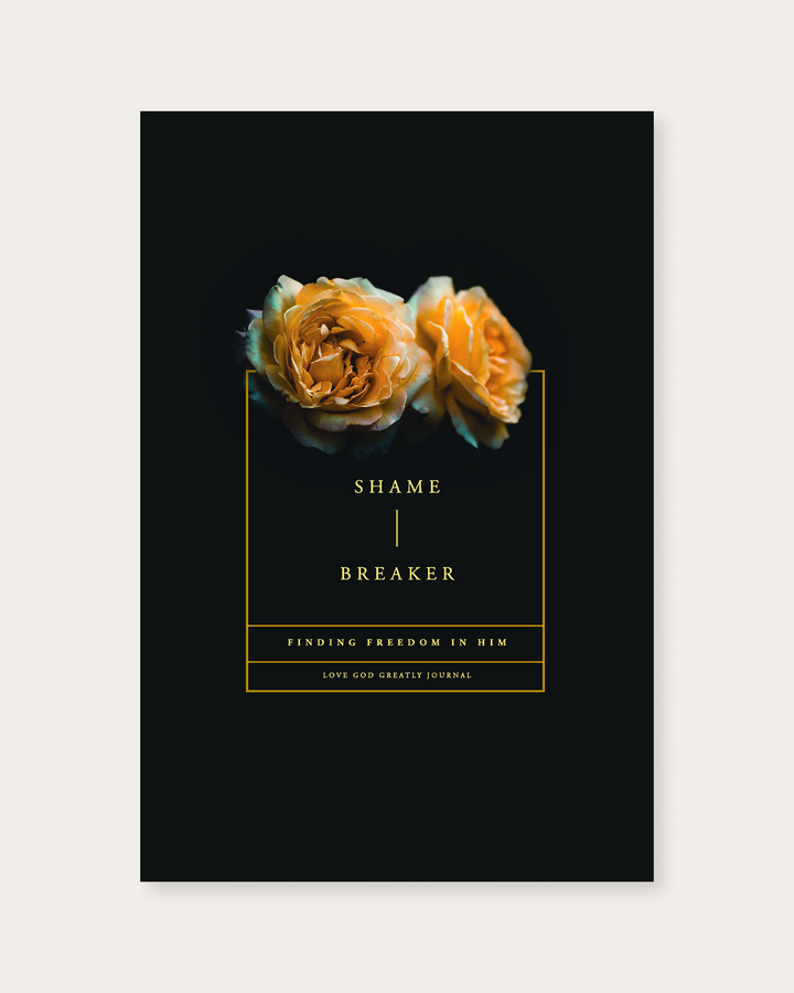 Shame Breaker