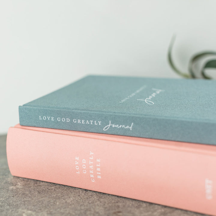 Bible/Journal Combo