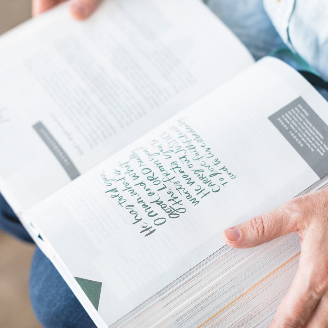 Hardcover Bible