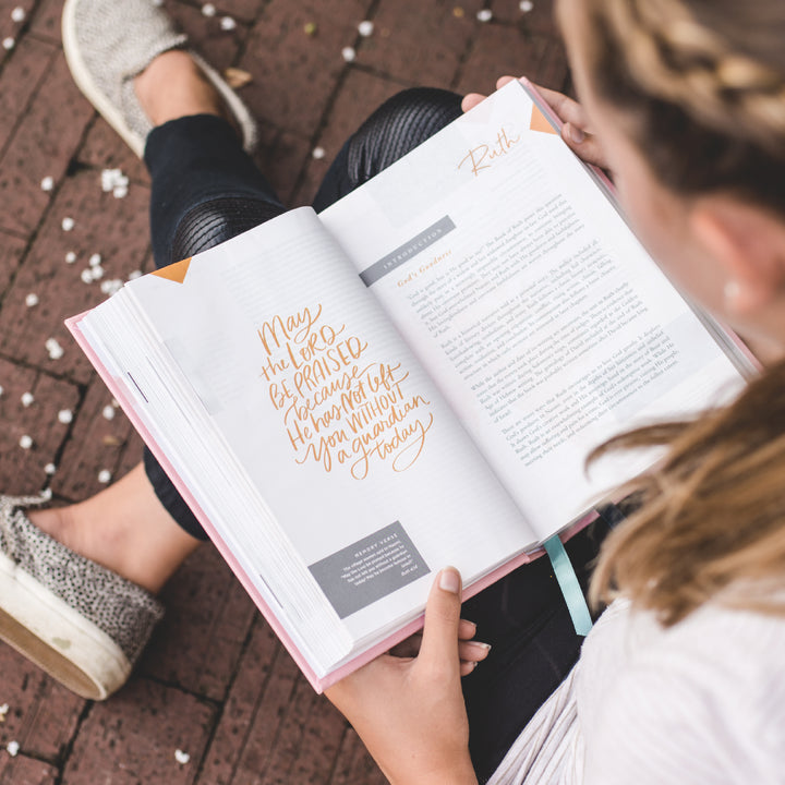 Pink Cloth Over Board Bible