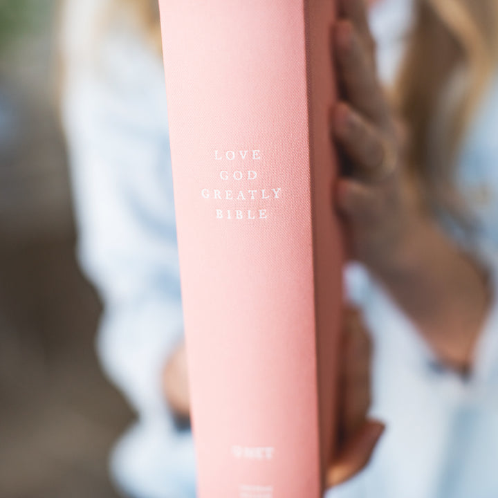 Pink Cloth Over Board Bible
