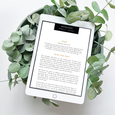 Not Made to Be Alone Digital Resource Bundle
